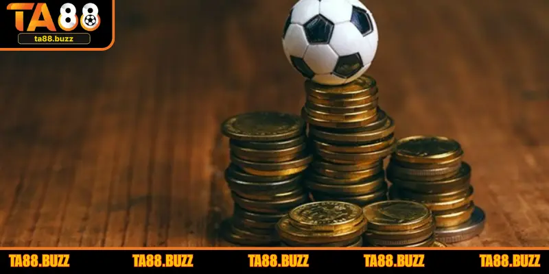 Dữ liệu thống kê kết quả và cảm nhận trực tiếp