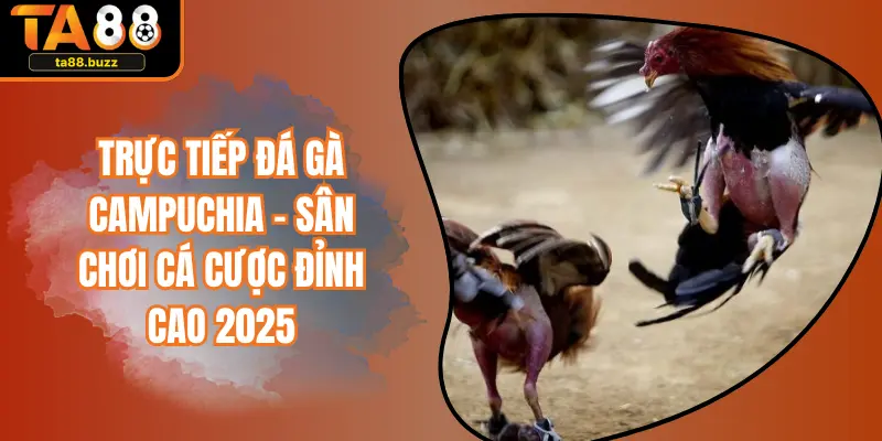 Trực Tiếp Đá Gà Campuchia – Sân Chơi Cá Cược Đỉnh Cao 2025